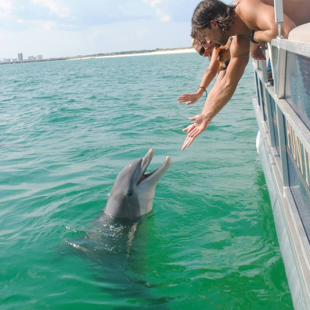 Uncle Ernie's Panama City Dolphin Tours